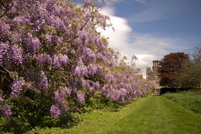 Knole